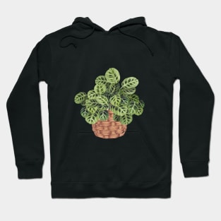 Prayer Plant In Basket Hoodie